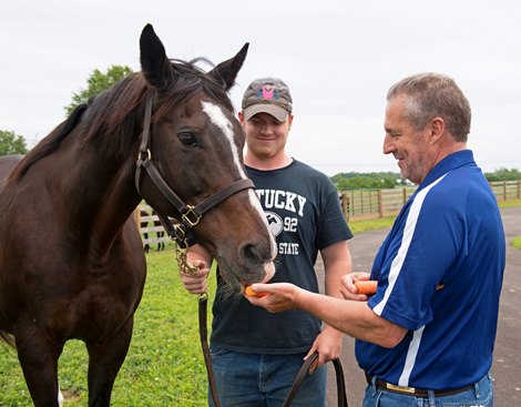 with Connor Burton, holding mare, and his father Tony Burton, on right.<br>
Hollywood Story at Starwood Farm near Versailles, Ky., on June 30, 2020 Starwood Farm in Versailles, KY. 