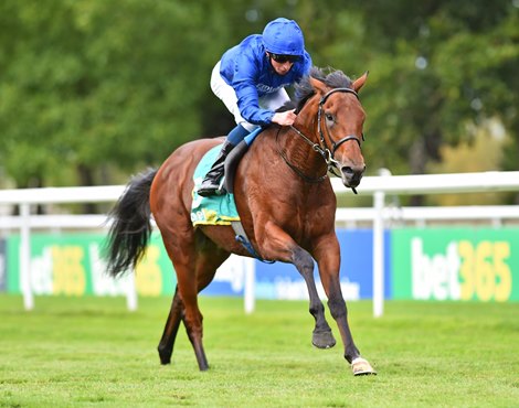 Master Of The Seas (William Buick) winning The bet365 Superlative Stakes.