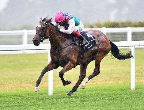 Enable (Frankie Dettori) wins The King George Vl and Queen Elizabeth Qipco Stakes.