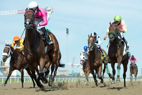 Jockey Emma-Jayne Wilson guides Two Sixty to victory in the $125,000 dollar Selene Stakes at Woodbine.Two Sixty is owned by Gary Barber and trained by Mark Casse. Michael burns photo