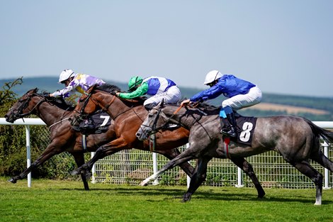 CHICHESTER, ENGLAND - JULY 31: Tom Marquand riding One Master (green cap) get up on the line to win The Saint Clair Oak Tree Stakes at Goodwood Racecourse on July 31, 2020 in Chichester, England