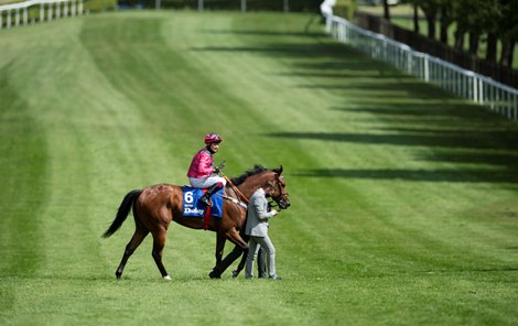 Oxted (Cieren Fallon,pink) win the Darley July Cup Stakes<br><br />
Newmarket 11.7.20 