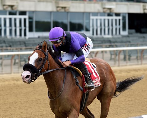 Critical Value wins the 2020 Bouwerie Stakes at Belmont Park                      