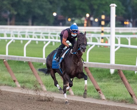 Midnight Bisou goes out for a breeze at the Oklahoma Training Track Monday July 27, 2020 in Saratoga Springs, N.Y.  
