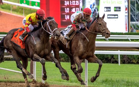 Country Grammer with jockey Irad Ortiz Jr. right out duels Caracaro to the win in the 66th running of The Peter Pan at the Saratoga Race Course  on opening day July 16, 2020 in Saratoga Springs, N.Y.  