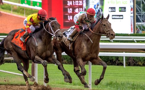 Country Grammer with jockey Irad Ortiz Jr. right out duels Caracaro to the win in the 66th running of The Peter Pan at the Saratoga Race Course on opening day July 16, 2020 in Saratoga Springs, N.Y. Country Grammer with jockey Irad Ortiz Jr. right out duels Caracaro to the win in the 66th running of The Peter Pan at the Saratoga Race Course on opening day July 16, 2020 in Saratoga Springs, N.Y.