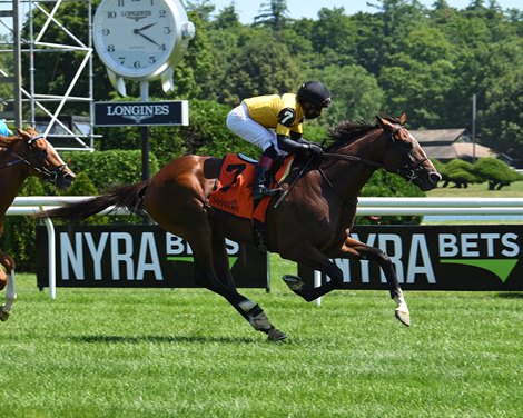 Decorated Invader wins the 2020 National Museum of Racing Hall of Fame Stakes at Saratoga