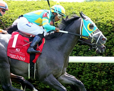 Field Pass wins 2020 Transylvania Stakes at Keeneland