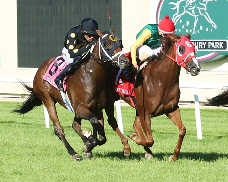 Tut&#39;s Revenge wins 2020 Mystic Lake Mile at Canterbury Park