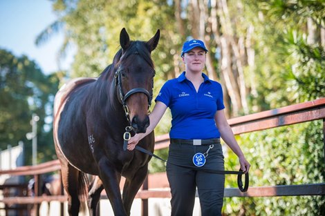 Lot 384, 2020 Magic Millions Gold Coast National Broodmare Sale