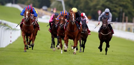  Stradivarius and Frankie Dettori (yellow cap) winning The Al Shaqab Goodwood Cup Stakes <br><br />
Goodwood 28.7.2020<br><br />
Pic Dan Abraham-focusonracing.com