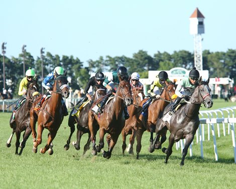 Summer Assault wins 2020 Mystic Lake Derby at Canterbury Park