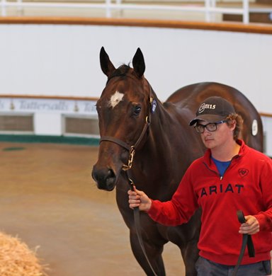 Lot 107 Make Believe (GB) / Olivia Pope (IRE) B.F. (IRE)      Dolmen Bloodstock, Ireland    Blandford Bloodstock    105,000<br><br />
Tattersalls Guineas Breeze Up<br><br />
08/07/20<br><br />
