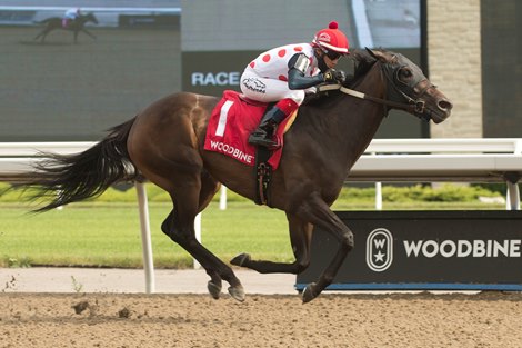 Jockey Luis Contreras guides Souper Escape to victory for owner Live Oak Plantation and trainer Michael J. Trombetta  in the grade 3 ,$125,000 dollar Trillium Stakes at Woodbine Racetrack. (Souper Escape red had black sleeves) michael burns photo