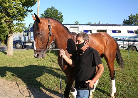 Haskell Stakes contender Authentic and Assistant Trainer Jim Barnes make their way off the van at Monmouth Park Racetrack in Oceanport, New Jersey after arriving on a flight from California on Tuesday afternoon July 14, 2020.  Authentic will attempt to give Trainer Bob Baffert his 9th Haskell victory when he competes in the $1,000,000 Grade 1 Haskell on Saturday July 18, 2020