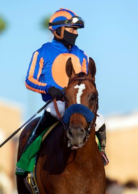 Jockey Abel Cedillo guides Maximum Security to the winner&#39;s circle after their victory in the Grade II, $150,000 San Diego Handicap, Saturday, July 25, 2020 at Del Mar Thoroughbred Club, Del Mar CA.<br><br />
&#169; BENOIT PHOTO