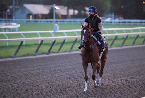 Code of Honor goes out for a breeze at the Oklahoma Training Track Monday July 27, 2020 in Saratoga Springs, N.Y.  