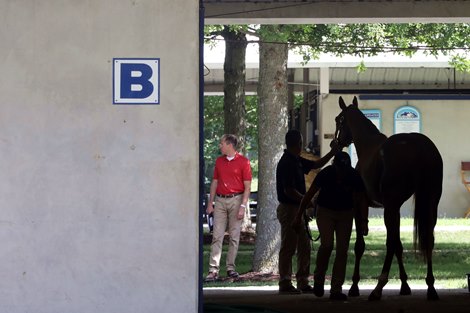 Scenics, 2020 Fasig-Tipton July Horses of Racing Age Sale