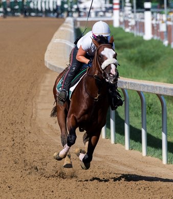 Tiz the Law keeps in shape with a breeze on the main track Saturday July 25, 2020 at the Saratoga Race Course in Saratoga Springs, N.Y.  