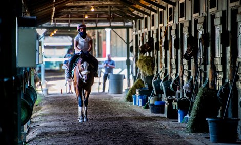 Tiz the Law returns to the barn after a breeze on the main track with exercise rider Heather Smullen Saturday July 25, 2020 at the Saratoga Race Course in Saratoga Springs, N.Y.  