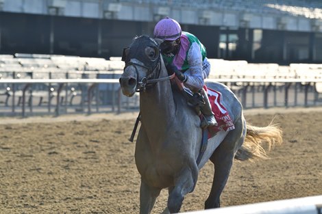 Tacitus wins the Suburban Stakes Saturday, July 4, 2020 at Belmont Park