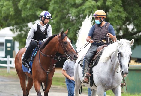 Authentic (L) with exercise rider Ramon Moya, Jr.and escorted by Aurelio Gomez (R) heads out to the track for a morning gallop at Monmouth Park Racetrack in Oceanport, NJ on Friday morning July 17, 2020