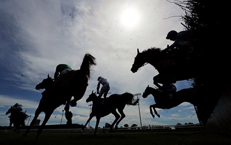 Runners and riders in the Sky Sports Racing Sky 415 Mares&#39; Novices&#39; Hurdle (GBB Race) at Southwell Racecourse. PA Photo. Issue date: Thursday July 30, 2020