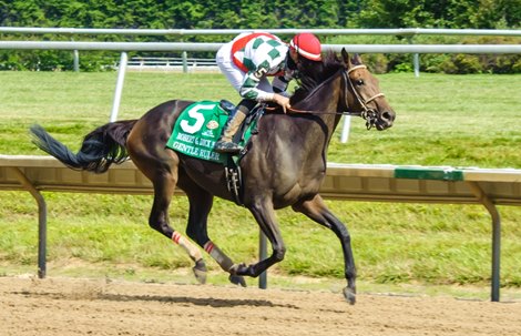 Gentle Ruler winning The grade 3 Robert Dick Memorial Stakes at Delaware Park on 7/11/20