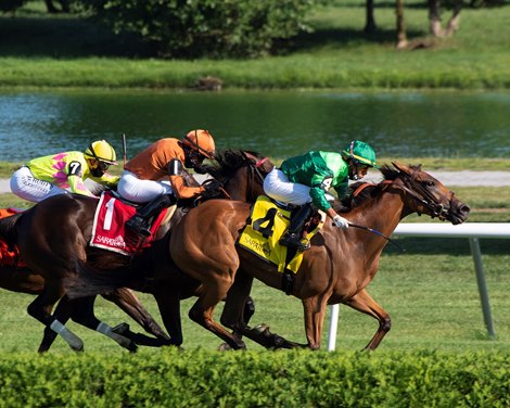 My Sister Nat with jockey Jose Ortiz wins the 17th running of The Waya GIII  at the Saratoga Race Course Saturday Aug.8, 2020 in Saratoga Springs, N.Y.  Photo by Skip Dickstein/Special to the Times Union