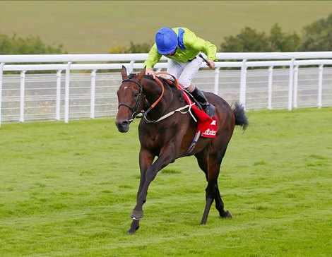 Subjectivist -Joe Fanning wins from the field<br>
The Ladbrokes March Stakes (Group 3)<br>
Goodwood  29.8.20<br>
Racing behind closed doors due to the Covid-19 pandemic.  <br>
©mark cranhamphoto.com<br>
