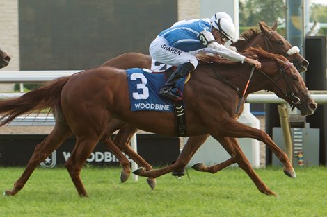 Toronto Ont.August 23, 2020.Woodbine Racetrack.Jockey Steven Bahen guides Alda to capture the $100,000 dollar Catch a Glimpse Stakes at Woodbine for owner Wertheimer et Frere and trainer Graham Motion. Michael Burns Photo