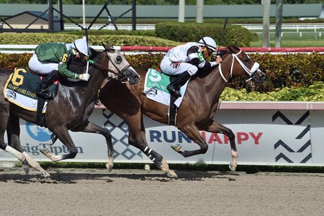 Princess Secret wins the 2020 FTBOA Florida Sire Susan&#39;s Girl Stakes                               