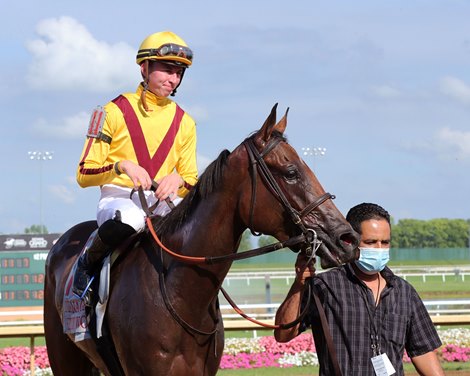 Hendy Woods wins the Indiana Grand Stakes Wednesday, August 12, 2020 at Indiana Grand