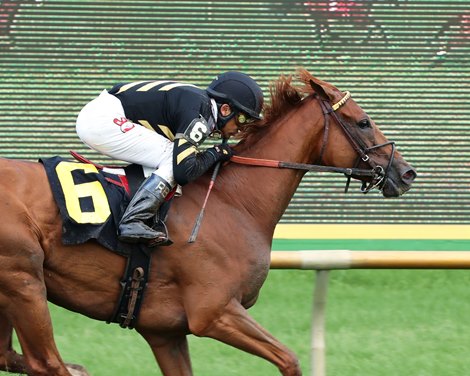 English Affair wins 2020 Kentucky Downs Preview Ladies Turf Stakes at Ellis Park