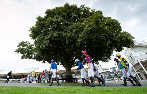 The jockeys walk to the paddock for the 7f Betway Maiden Stakes<br><br />
Sandown 23.8.20 Pic: Edward Whitaker/Racing Post