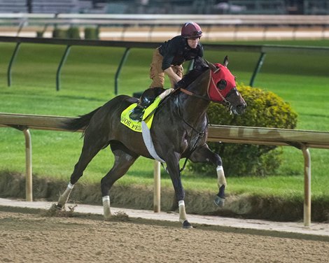 Major Fed<br><br />
Kentucky Derby and Oaks training at Churchill Downs near Louisville, Ky., on Aug. 28, 2020 Churchill Downs in Louisville, KY. 