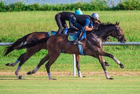 Sole Volante with Luca Panici up works in company with Kelsey&#39;s Cross at Palm Meadows on August 28, 2020