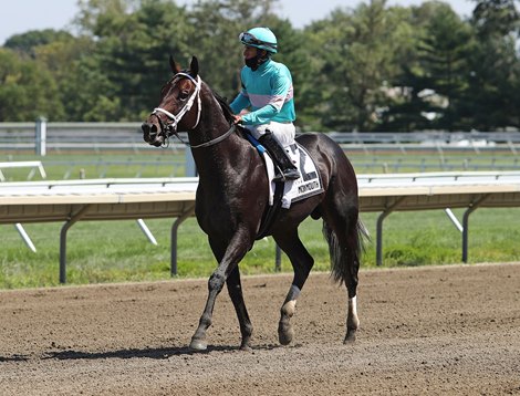 Warrior&#39;s Charge and Paco Lopez won the $200,000 Grade III Philip H. Iselin Stakes Monmouth Park Racetrack in Oceanport, NJ on Saturday August 22, 2020.  Photo By Bill Denver/EQUI-PHOTO