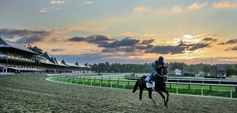 A horse gallops on the main track in the early morning at the Saratoga Race Course Wednesday Aug. 5, 2020  in Saratoga Springs, N.Y.  Photo by Skip Dickstein