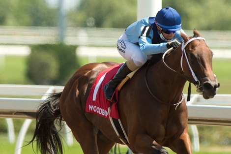 Joy&#39;s Rocket with Jockey Luis Contreras captures the 2020 My Dear Stakes for owner Team Hanley and trainer Steven Asmussen