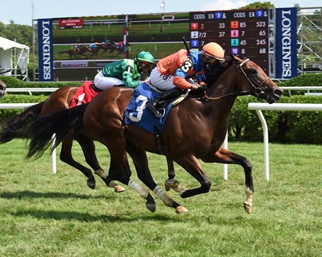 American Monarch - Maiden Win, Saratoga, August 8, 2020                         