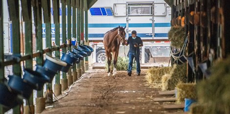 Gamine was guided from the truck by assistant coach Bob Baffert.  Jimmy Barnes and will be participating in the Test Stake on the Shipper's Day pass Saturday to Saratoga Racecourse Tuesday, August 4, 2020 in Saratoga Springs, NY  