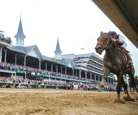 Calvin Borel on Mine That Bird wins the 1354th Kentucky Derby at Churchill Down in Louisville, Kentucky May 2, 2009.