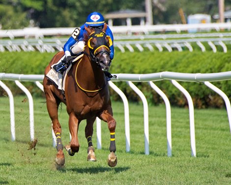 #1 Imprimis was placed third after an inquiry and American Sailor with jockey Tyler Gaffalione wins the Troy at the Saratoga Race Course Saturday Aug.8, 2020 in Saratoga Springs, N.Y. 