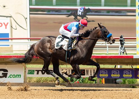 Princess Noor wins maiden special weight Saturday, August 22, 2020 at Del Mar