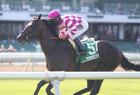 Sacred Life #5 with Paco Lopez riding won the $100,000 Oceanport Stakes at Monmouth Park Racetrack in Oceanport, NJ on Sunday August 9, 2020.  Photo By Bill Denver/EQUI-PHOTO