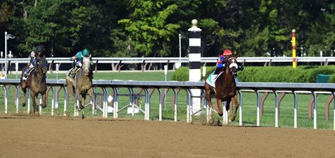 Swiss Skydiver with jockey Tyler Gafalione in the irons convincingly wins the 140th running of The Alabama Saturday Aug.15, 2020 at the Saratoga Race Course in Saratoga Springs, N.Y.  