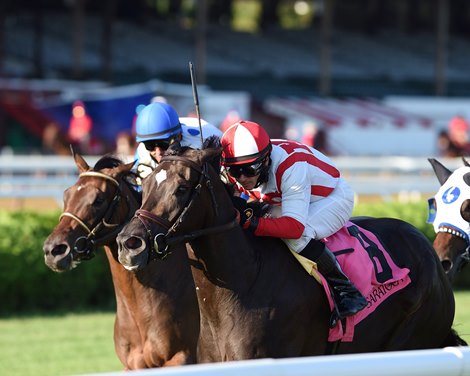 Selflessly wins the 2020 Lake George Stakes at Saratoga                           