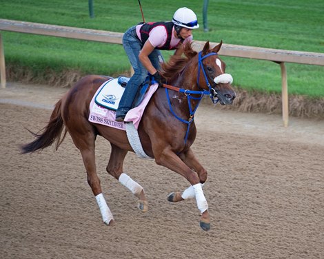 Swiss Skydiver<br><br />
Kentucky Derby and Oaks training at Churchill Downs near Louisville, Ky., on Aug. 28, 2020 Churchill Downs in Louisville, KY. 