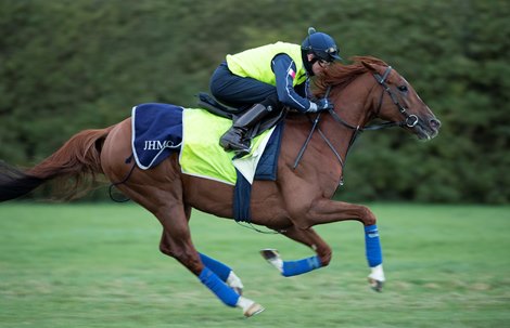 Stradivarius works on the Limekilns round gallop under Rab Havlin<br><br />
Newmarket 26.9.20